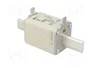 ETI POLAM Fusible de cartucho NH1 100A 500VAC