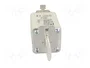 ETI POLAM Fusible de cartucho NH1 100A 500VAC