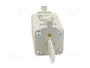 ETI POLAM Fusible de cartucho NH1 100A 500VAC