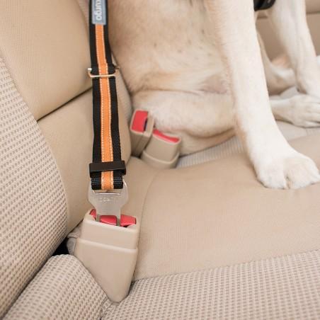 Petsafe Kurgo Adaptador Cinturón de Seguridad Negro/Naranja Petsafe Kurgo Adaptador Cinturón de Seguridad Negro/Naranja