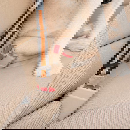 Petsafe Kurgo Adaptadr Cinturón de Seguridad para Perros Ajustable Negro-Naranja 38-55 cm