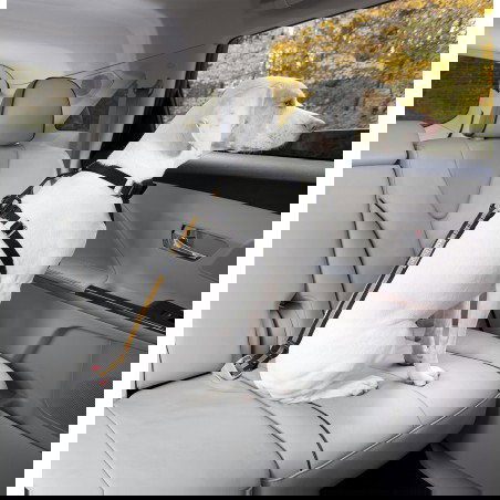 Petsafe Kurgo Adaptadr Cinturón de Seguridad para Perros Ajustable Negro-Naranja 38-55 cm