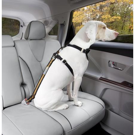 Petsafe Kurgo Adaptador Cinturón de Seguridad Negro/Naranja Petsafe Kurgo Adaptador Cinturón de Seguridad Negro/Naranja