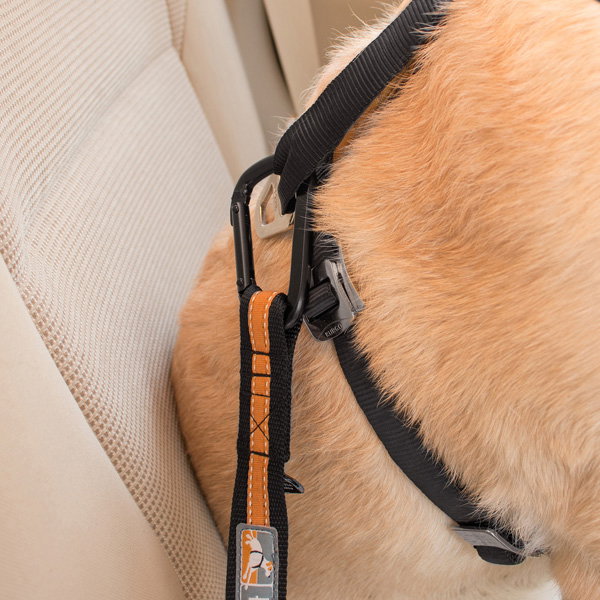 Petsafe Kurgo Adaptador Cinturón de Seguridad Negro/Naranja