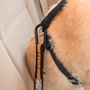 Petsafe Kurgo Adaptador Cinturón de Seguridad Negro/Naranja