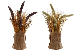 DKD Home Decor Planta de Uraria crinita Surtido de 2 unidades