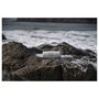 JBL Altavoz Portátil Charge 5, Bluetooth 5.1, IP67 Resistente al Agua y Polvo, 20h Autonomía, Batería 7500mAh, 30W RMS, Negro