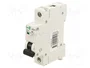 Promfactor Baltic Interruptor magnetotérmico ECO 10A 1 Polo Caract B