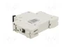 Promfactor Baltic Interruptor magnetotérmico ECO 10A 1 Polo Caract B