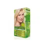 Naturtint Tinte sin Amoniaco 10N-Rubio Alba 170 ml
