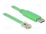 DeLOCK 62960 Adaptador USB 2.0 Typ-A a Serie RS-232 RJ45, 1,8 m Verde