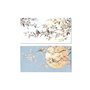 DKD Home Decor Cuadro Lienzo 120x60x3,7 Flores y Pájaros Surtido de 2 Unidades