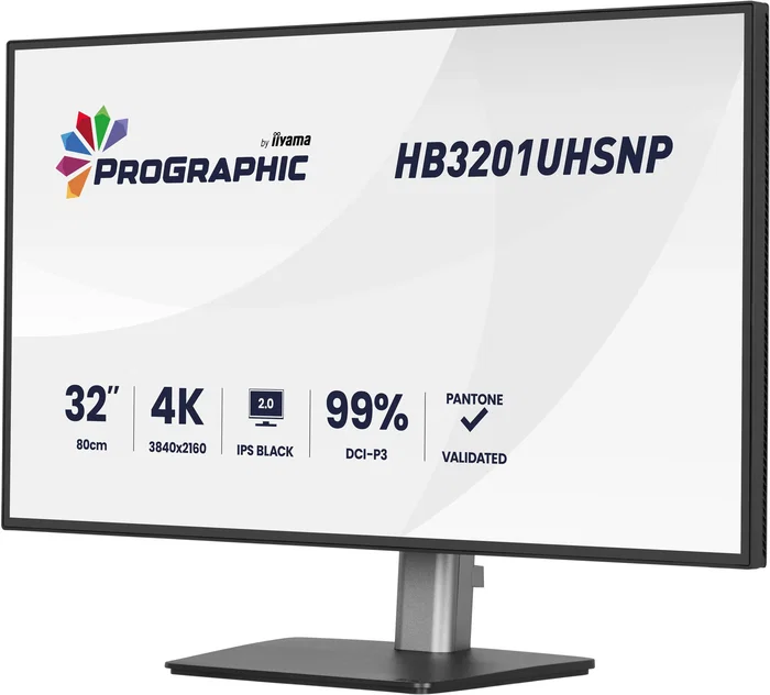 Iiyama ProGraphic HB3201UHSNP-B1 Monitor 31.5 pulg 4K IPS Negro