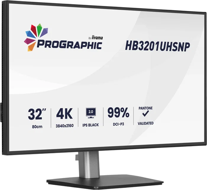 Iiyama ProGraphic HB3201UHSNP-B1 Monitor 31.5 pulg 4K IPS Negro
