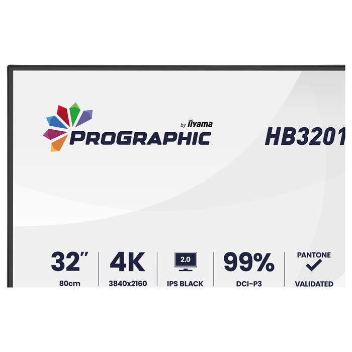 Iiyama ProGraphic HB3201UHSNP-B1 Monitor 31.5 pulg 4K IPS Negro