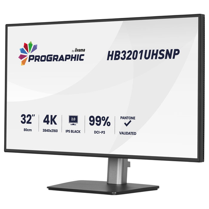 Iiyama ProGraphic HB3201UHSNP-B1 Monitor 31.5 pulg 4K IPS Negro