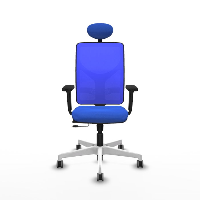 PIQUERAS Y CRESPO Silla de oficina Motilla Azul con Mecanismo Sincro/Traslack PIQUERAS Y CRESPO Silla de oficina Motilla Azul con Mecanismo Sincro/Traslack