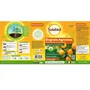 Solabiol Fertilizante Cítrico SOAGY15 - 1.5 Kg | Promueve Fructificación y Hojas Verdes