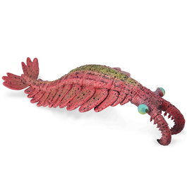 Collecta 88977 Anomalocaris Réplica Prehistórica L Pintada a Mano Modelo Detallado Animales Prehistóricos +3 Años