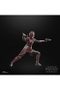 Hasbro Star Wars The Black Series Rook Kast 15 cm