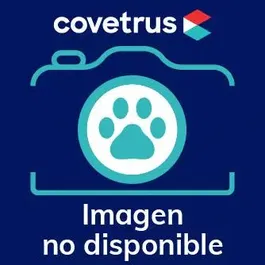 Fuji Fdc Immuno Au10 Progesterona Test 10uds