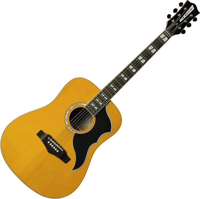 EKO Ranger 6 Vr A/E Guitarra Acústica Dreadnought Eléctrica Natural