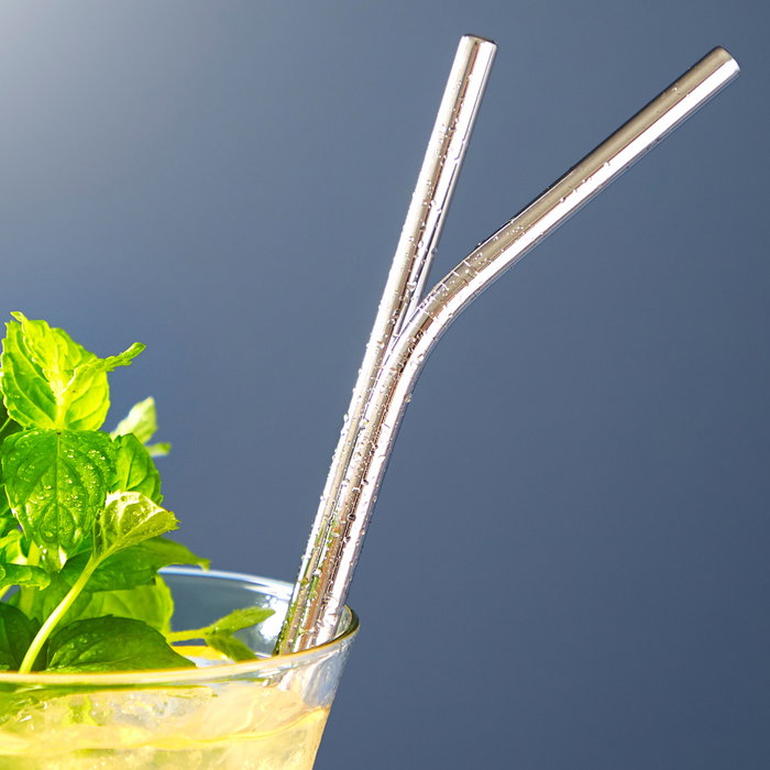 Day Juego de 6 Pajitas Reutilizables de Acero Inoxidable con Cepillo Limpiador