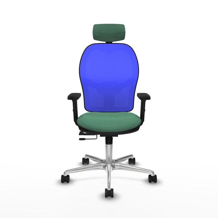 PIQUERAS Y CRESPO Silla de oficina Jorquera con mecanismo Sincro/Traslack, Verde esmeralda y Azul PIQUERAS Y CRESPO Silla de oficina Jorquera con mecanismo Sincro/Traslack, Verde esmeralda y Azul