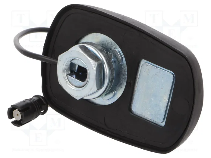 4CARMEDIA Antena Shark AM/FM para Automóviles, RAKU II Hembra, Negro