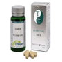 ERLINGEN IZAR 26 BA ZHEN TANG 60 comp.