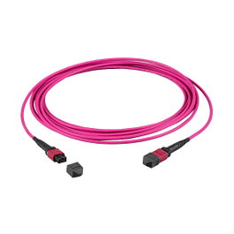 EFB Elektronik MTP(F)-MTP(F) Patchkabel OM4 12 Fasern Typ B LSZH erika-violett 0,5m