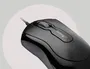 Kensington Ratón Óptico 800 DPI Negro Ergonómico USB