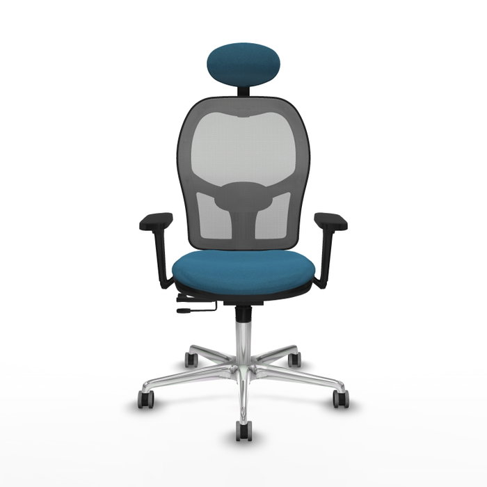 PIQUERAS Y CRESPO Silla de oficina Jorquera con mecanismo Sincro/Traslack, Verde petróleo y Gris PIQUERAS Y CRESPO Silla de oficina Jorquera con mecanismo Sincro/Traslack, Verde petróleo y Gris