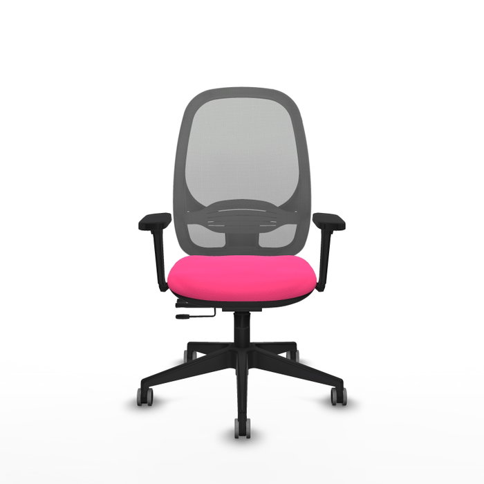 PIQUERAS Y CRESPO Silla de oficina Cilanco con mecanismo Sincro/Traslack, Rosa y Gris PIQUERAS Y CRESPO Silla de oficina Cilanco con mecanismo Sincro/Traslack, Rosa y Gris