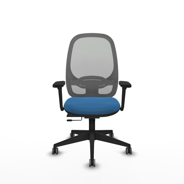 PIQUERAS Y CRESPO Silla de oficina Cilanco con mecanismo Sincro/Traslack Azul claro y Gris PIQUERAS Y CRESPO Silla de oficina Cilanco con mecanismo Sincro/Traslack Azul claro y Gris