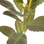 Ixia Rama de Limonero Verde Artificial 15 x 12 x 37 cm