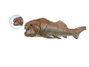COLLECTA Dunkleosteus con mandíbula móvil - Deluxe 1:20