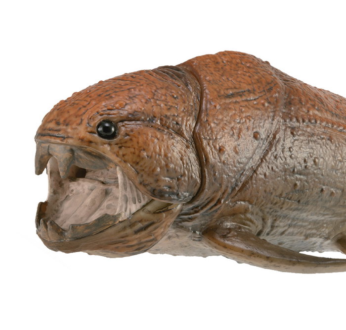 COLLECTA Dunkleosteus con mandíbula móvil - Deluxe 1:20