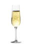 Inde Set 6 Copas de Champagne "Sen" 22 cl (4 x 5 x 22 cm)