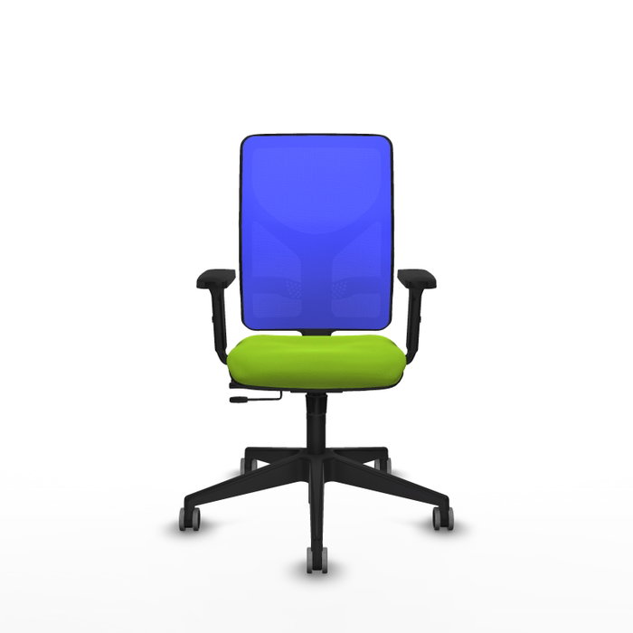 PIQUERAS Y CRESPO Silla de oficina Motilla con mecanismo Sincro/Traslack, Pistacho y Azul