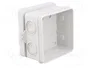ELEKTRO-PLAST NASIELSK Caja de conexiones gris IP55