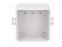 ELEKTRO-PLAST NASIELSK Caja de conexiones gris IP55