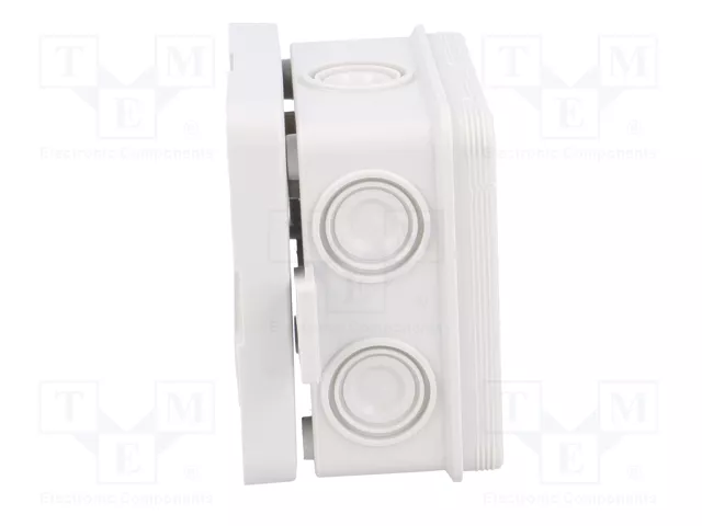 ELEKTRO-PLAST NASIELSK Caja de conexiones gris IP55