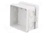 ELEKTRO-PLAST NASIELSK Caja de conexiones gris IP55