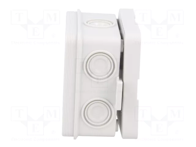 ELEKTRO-PLAST NASIELSK Caja de conexiones gris IP55