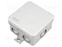 ELEKTRO-PLAST NASIELSK Caja de conexiones gris IP55