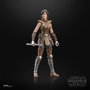 Hasbro Star Wars The Black Series Satele Shan 15 cm
