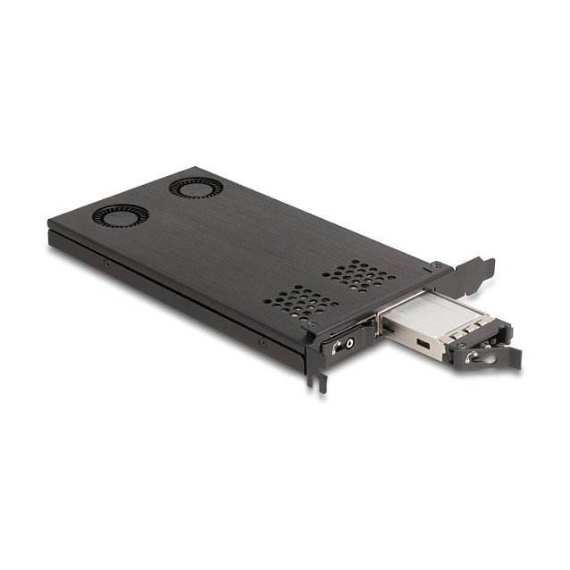 DeLOCK PCIe x16 Adaptador para 2 M.2 NVMe SSD con Bifurcación, Tarjeta Rack Móvil, PCIe 4.0, Enfriamiento Activo con 2 Ventiladores, Negro