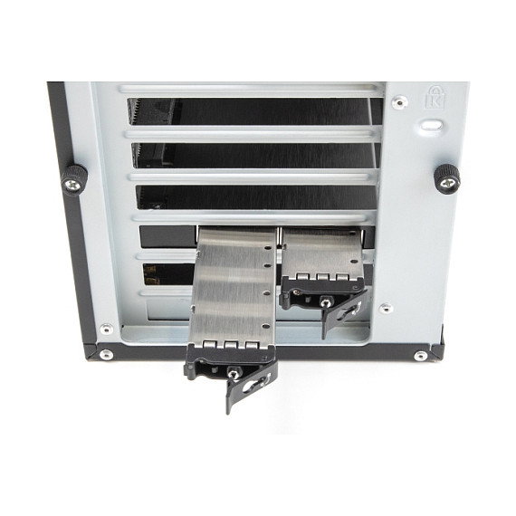 DeLOCK PCIe x16 Adaptador para 2 M.2 NVMe SSD con Bifurcación, Tarjeta Rack Móvil, PCIe 4.0, Enfriamiento Activo con 2 Ventiladores, Negro
