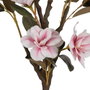 Ixia Árbol Magnolia Rosa de 170 cm para Jardín
